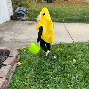 Baby shark costume. Worn once